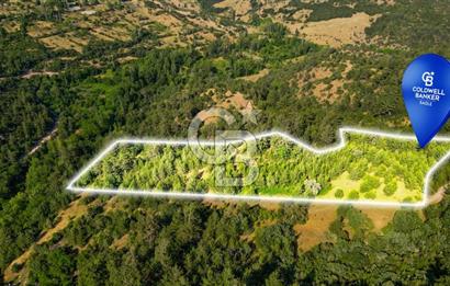 CB Eagle'Dan DURSUNBEY GÖKÇEDAĞ'DA 12.966 m² SATILIK TARLA 