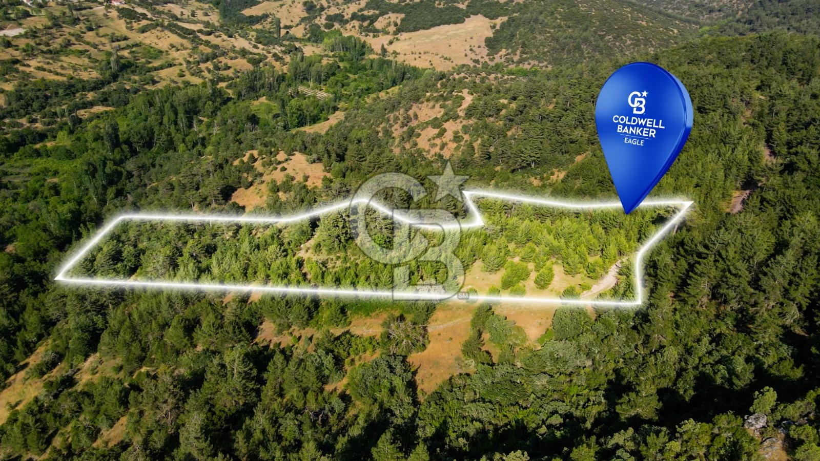 CB Eagle'Dan DURSUNBEY GÖKÇEDAĞ'DA 12.966 m² SATILIK TARLA 