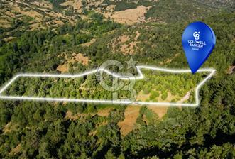 CB Eagle'Dan DURSUNBEY GÖKÇEDAĞ'DA 12.966 m² SATILIK TARLA  - 5 - 350257