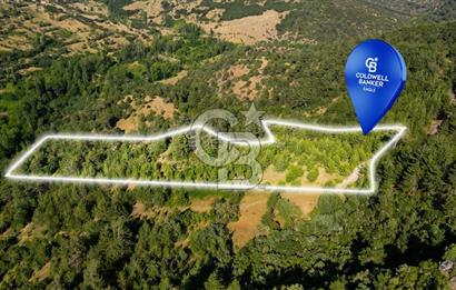 CB Eagle'Dan DURSUNBEY GÖKÇEDAĞ'DA 12.966 m² SATILIK TARLA 
