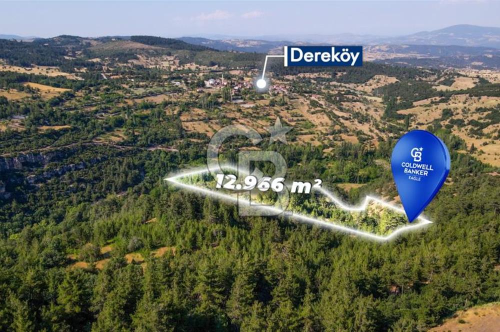 CB Eagle'Dan DURSUNBEY GÖKÇEDAĞ'DA 12.966 m² SATILIK TARLA 