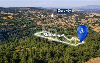 CB Eagle'Dan DURSUNBEY GÖKÇEDAĞ'DA 12.966 m² SATILIK TARLA 
