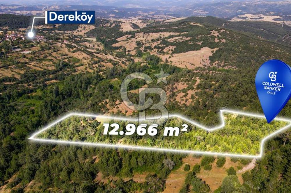 CB Eagle'Dan DURSUNBEY GÖKÇEDAĞ'DA 12.966 m² SATILIK TARLA 