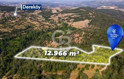CB Eagle'Dan DURSUNBEY GÖKÇEDAĞ'DA 12.966 m² SATILIK TARLA 