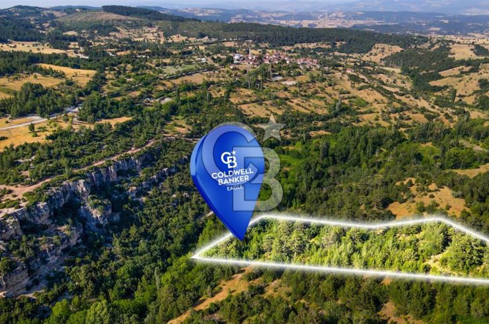 CB Eagle'Dan DURSUNBEY GÖKÇEDAĞ'DA 12.966 m² SATILIK TARLA 