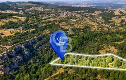 CB Eagle'Dan DURSUNBEY GÖKÇEDAĞ'DA 12.966 m² SATILIK TARLA 