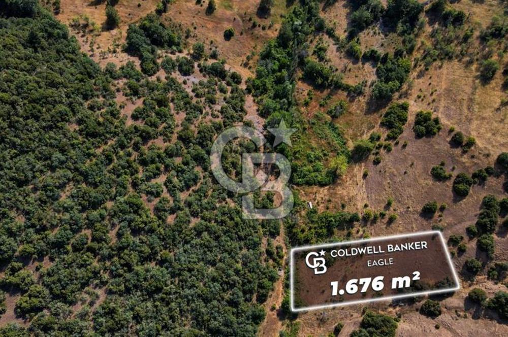 CB Eagle'Dan DURSUNBEY ALAGÜNEY'DE 1.676 m² SATILIK TARLA