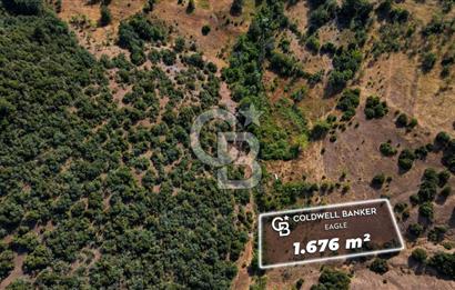 CB Eagle'Dan DURSUNBEY ALAGÜNEY'DE 1.676 m² SATILIK TARLA