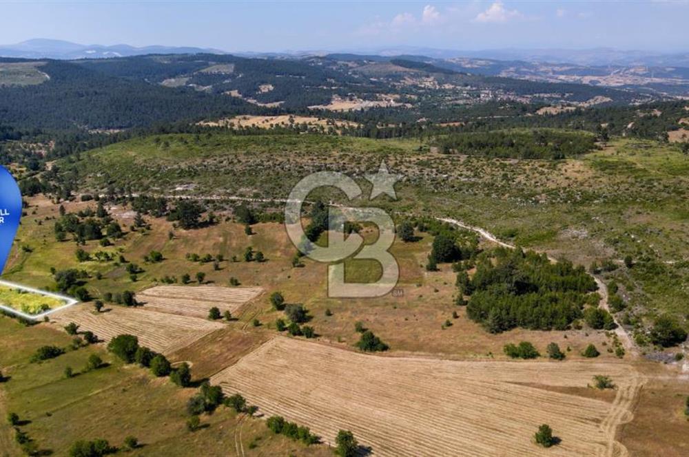 CB Eagle'Dan DURSUNBEY ALAGÜNEY'DE 1.292 m² SATILIK TARLA