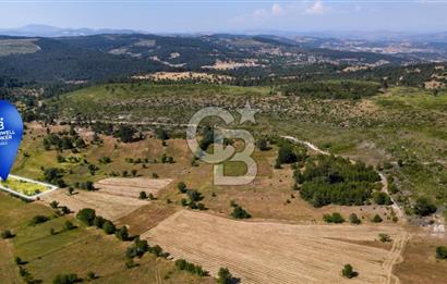 CB Eagle'Dan DURSUNBEY ALAGÜNEY'DE 1.292 m² SATILIK TARLA