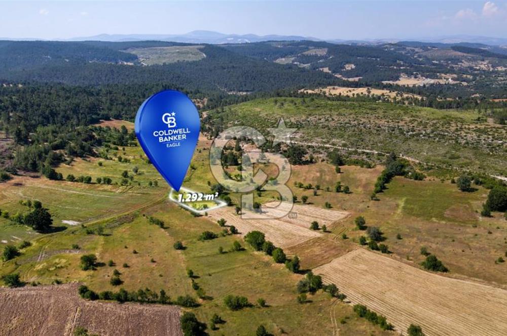 CB Eagle'Dan DURSUNBEY ALAGÜNEY'DE 1.292 m² SATILIK TARLA