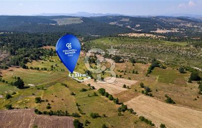 CB Eagle'Dan DURSUNBEY ALAGÜNEY'DE 1.292 m² SATILIK TARLA