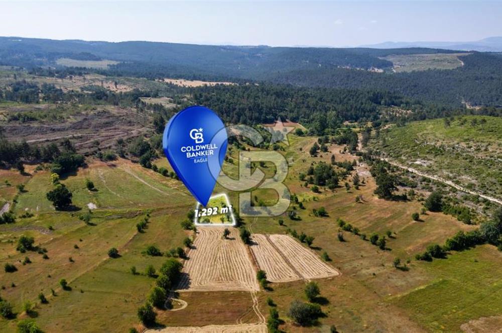 CB Eagle'Dan DURSUNBEY ALAGÜNEY'DE 1.292 m² SATILIK TARLA