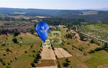 CB Eagle'Dan DURSUNBEY ALAGÜNEY'DE 1.292 m² SATILIK TARLA
