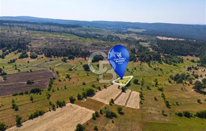 CB Eagle'Dan DURSUNBEY ALAGÜNEY'DE 1.292 m² SATILIK TARLA