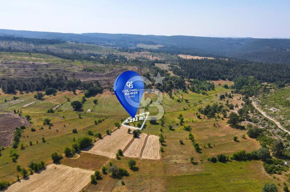 CB Eagle'Dan DURSUNBEY ALAGÜNEY'DE 1.292 m² SATILIK TARLA