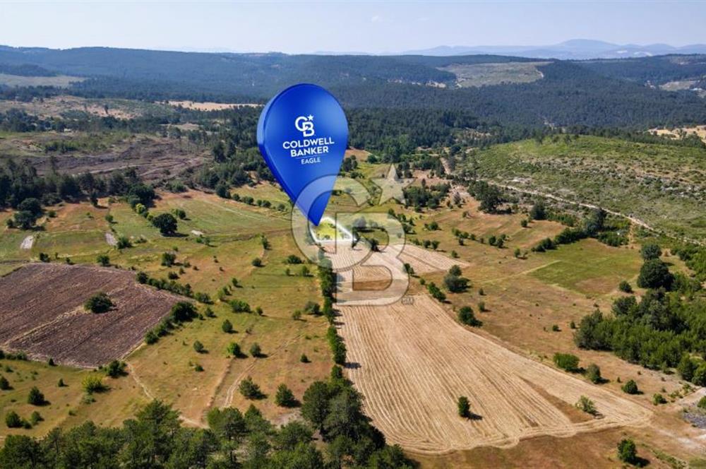 CB Eagle'Dan DURSUNBEY ALAGÜNEY'DE 1.292 m² SATILIK TARLA