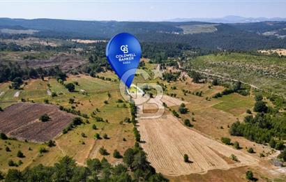 CB Eagle'Dan DURSUNBEY ALAGÜNEY'DE 1.292 m² SATILIK TARLA