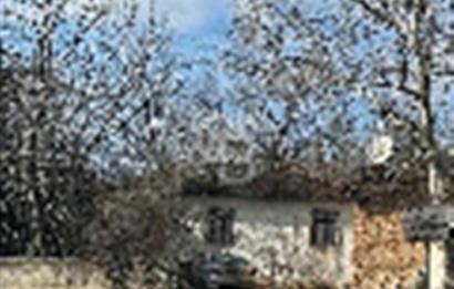 BALÇIK KİRALIK