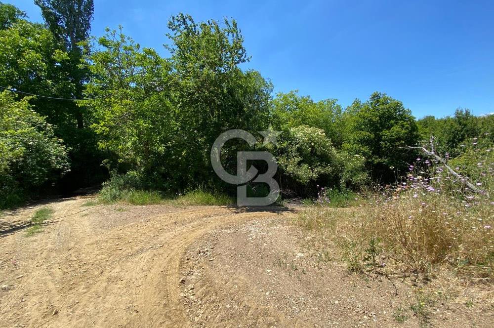 ÖDEMİŞ BIÇAKCI YAYLADA SATILIK BAHÇE