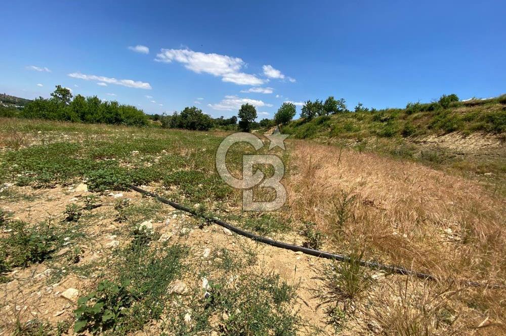 ÖDEMİŞ BIÇAKCI YAYLADA SATILIK BAHÇE