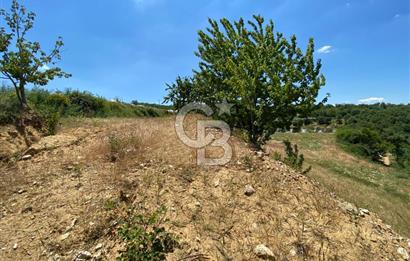 ÖDEMİŞ BIÇAKCI YAYLADA SATILIK BAHÇE