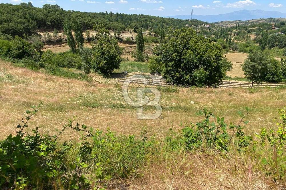 ÖDEMİŞ BIÇAKCI YAYLADA SATILIK BAHÇE