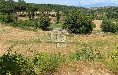 ÖDEMİŞ BIÇAKCI YAYLADA SATILIK BAHÇE