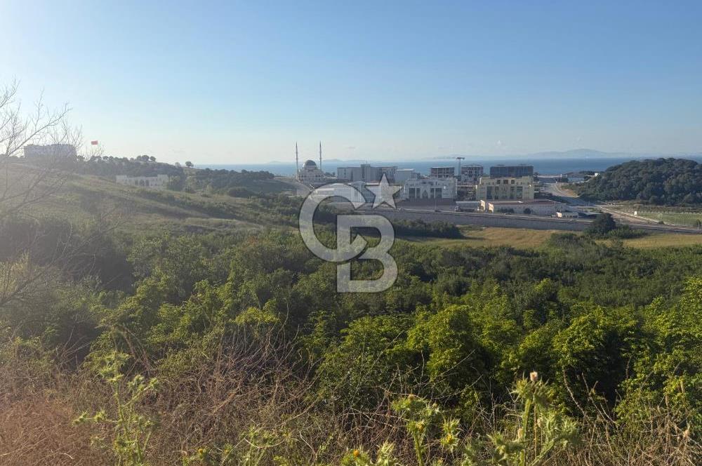  YALOVA MERKEZ SAMANLIDA FULL DENİZ MANAZARALI 946M2 SATILIK ARSA !