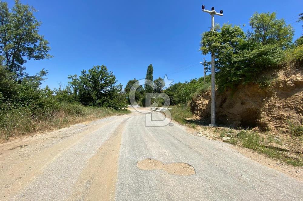 ÖDEMİŞ BIÇAKCI YAYLADA SATILIK BAHÇE