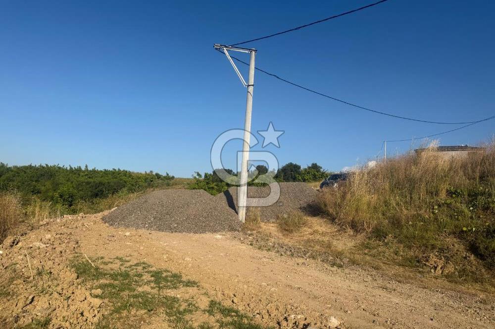  YALOVA MERKEZ SAMANLIDA FULL DENİZ MANAZARALI 946M2 SATILIK ARSA !