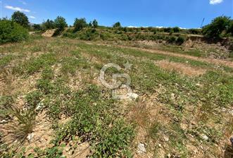 ÖDEMİŞ BIÇAKCI YAYLADA SATILIK BAHÇE - 11 - 355384
