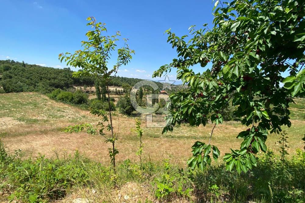 ÖDEMİŞ BIÇAKCI YAYLADA SATILIK BAHÇE