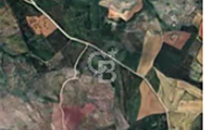 Mamak Kutludüğün-İmar Mah.370 m² si Satılık Hisseli Tarla