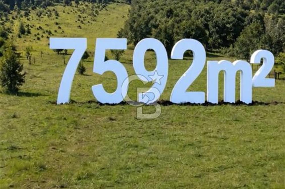 BEYKOZ Anadolu Feneri YATIRIM ARAZİSİ