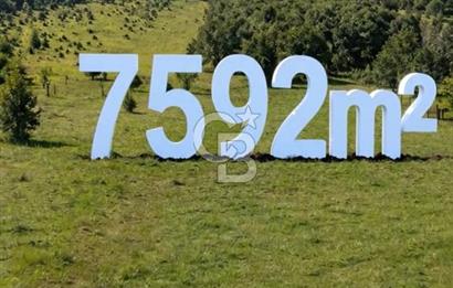 BEYKOZ Anadolu Feneri YATIRIM ARAZİSİ