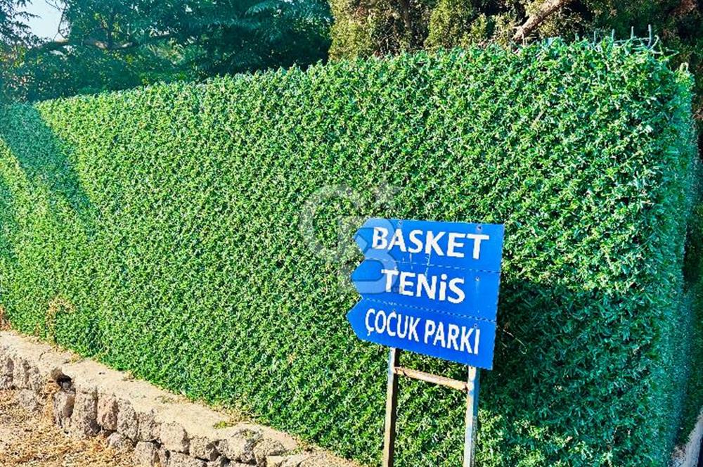Bodrum Bağla’da 3+1 Müst Villa