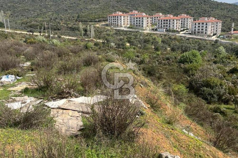 YALOVA ARMUTLU DENİZ MANZARALI 3 KAT İMARLI DEĞERLİ ARSA ACİL!!!