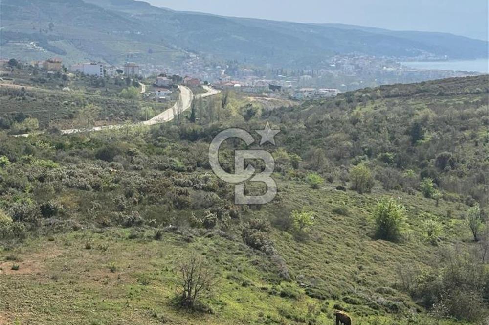 YALOVA ARMUTLU DENİZ MANZARALI 3 KAT İMARLI DEĞERLİ ARSA ACİL!!!