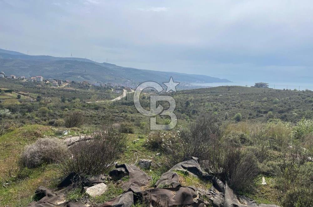 YALOVA ARMUTLU DENİZ MANZARALI 3 KAT İMARLI DEĞERLİ ARSA ACİL!!!