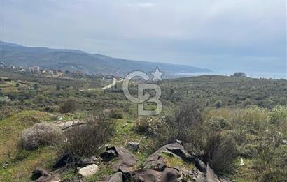 YALOVA ARMUTLU DENİZ MANZARALI 3 KAT İMARLI DEĞERLİ ARSA ACİL!!!