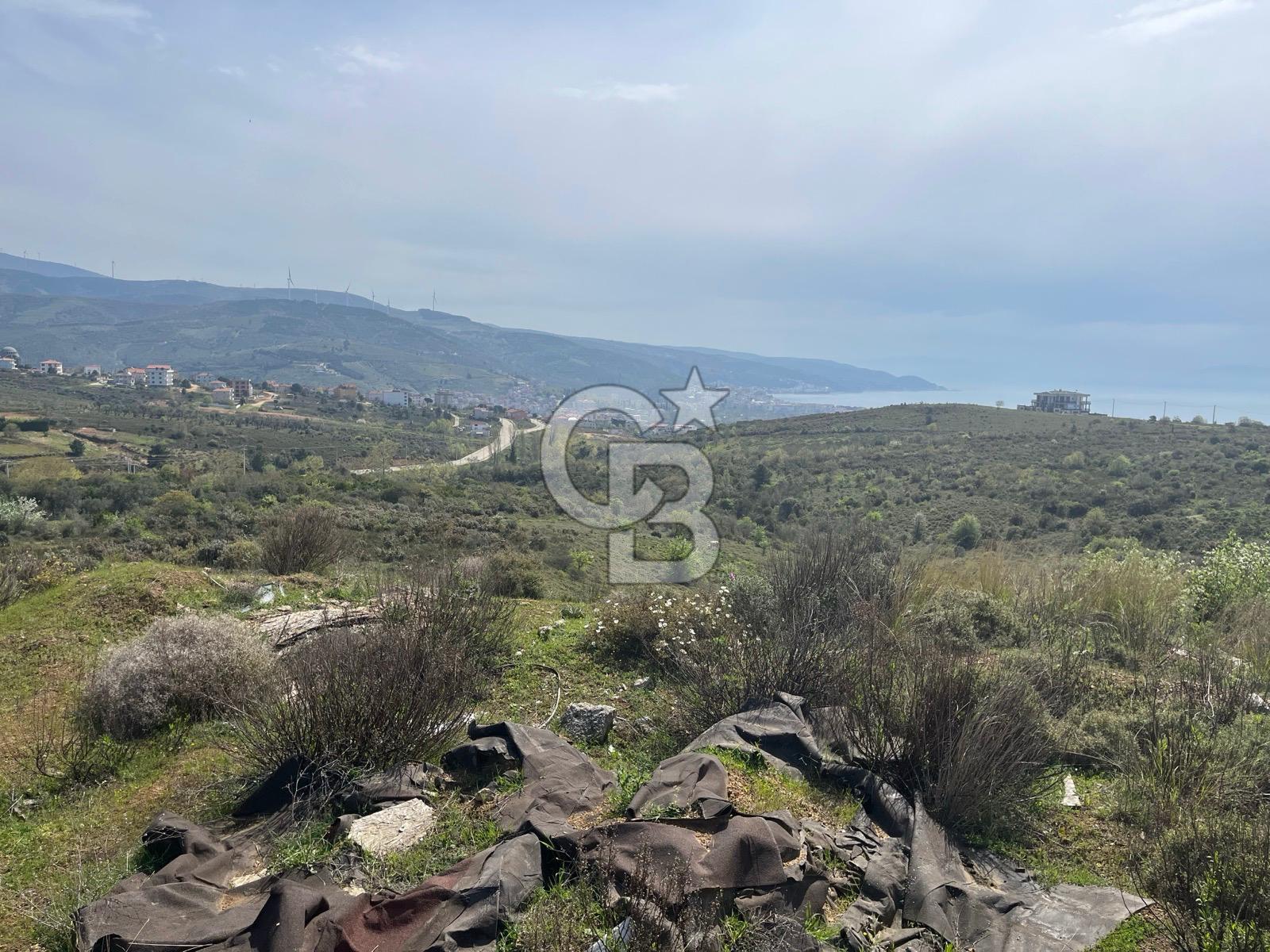YALOVA ARMUTLU DENİZ MANZARALI 3 KAT İMARLI DEĞERLİ ARSA ACİL!!!