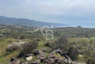 YALOVA ARMUTLU DENİZ MANZARALI 3 KAT İMARLI DEĞERLİ ARSA ACİL!!! - 4 - 355420