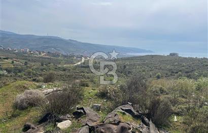 YALOVA ARMUTLU DENİZ MANZARALI 3 KAT İMARLI DEĞERLİ ARSA ACİL!!!