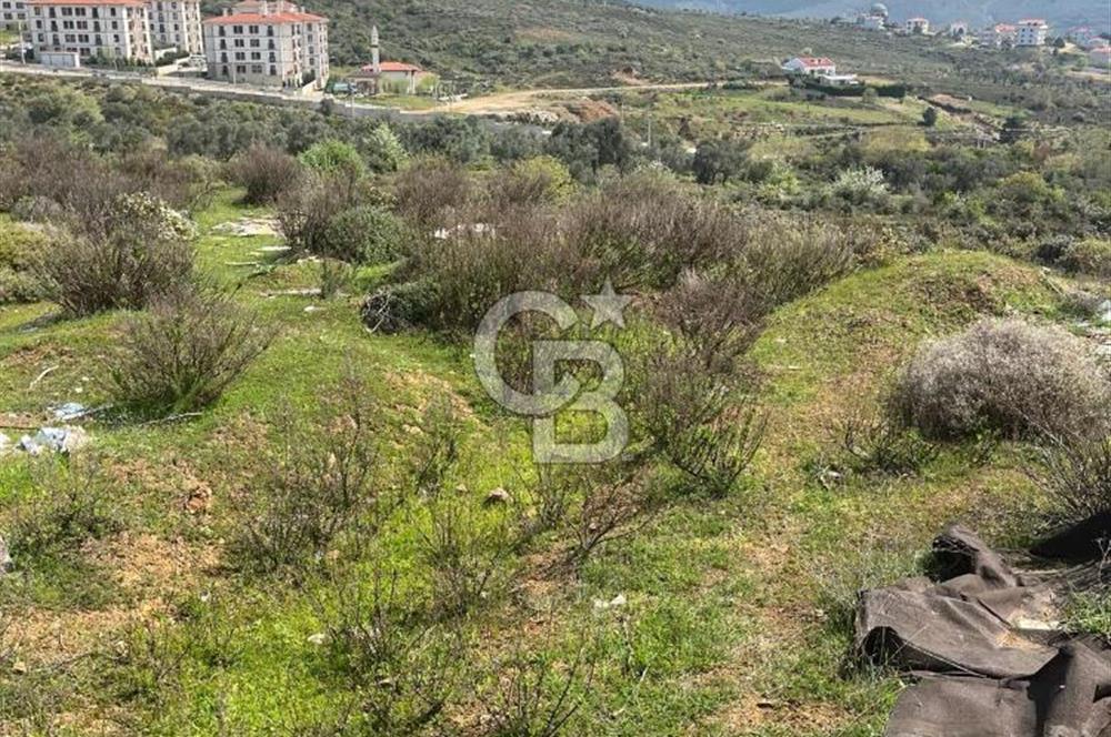 YALOVA ARMUTLU DENİZ MANZARALI 3 KAT İMARLI DEĞERLİ ARSA ACİL!!!