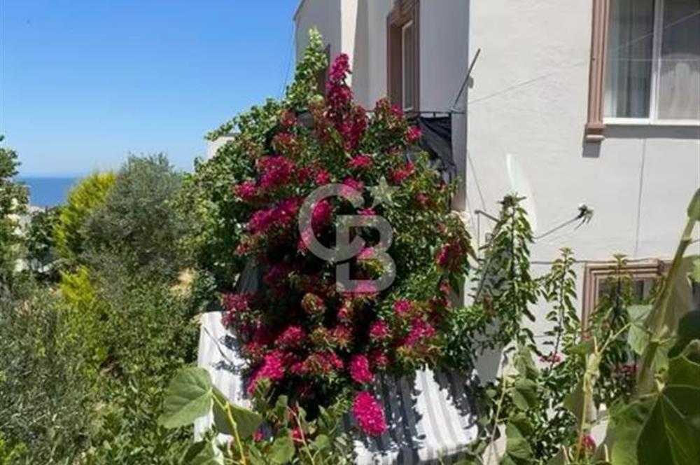 Karaburun İskele de Geniş Bahçeli Müstakil Villa Sa