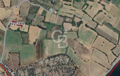 DATÇA KIZLAN'DA DENİZE YAKIN 1084 m² SATILIK TARLA