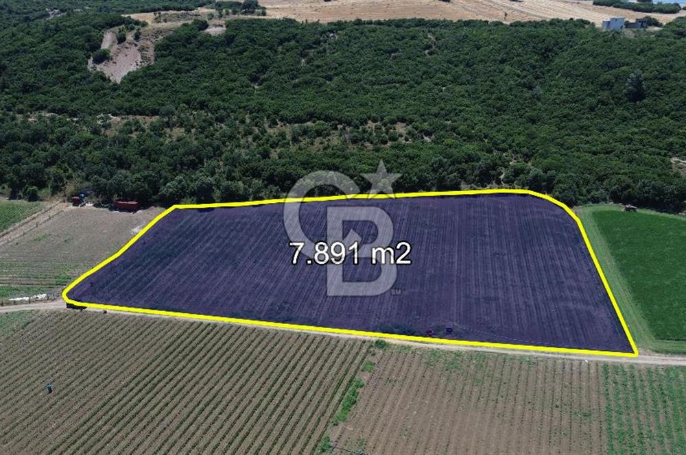 ÇANAKKALE MERKEZ HALİLELİ KÖYÜNDE SATILIK TARLA