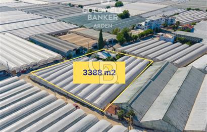 DEMRE ALAKENT ORTASALIMDA SATILIK 3388 M2 SERA VE EVi CB ARDEN