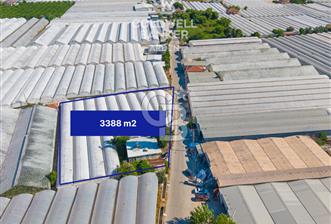 DEMRE ALAKENT ORTASALIMDA SATILIK 3388 M2 SERA VE EVi CB ARDEN - 11 - 355593